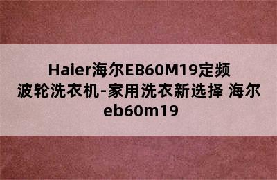 Haier海尔EB60M19定频波轮洗衣机-家用洗衣新选择 海尔 eb60m19